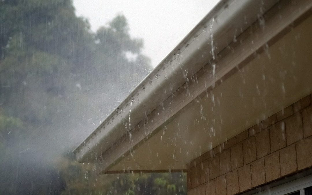 clogged gutters are one of the common causes of water damage in the home
