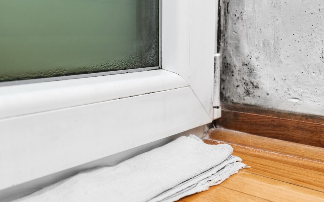 4 Common Signs of Mold in Your Home