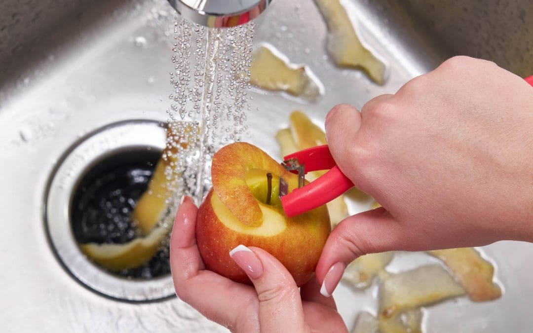 garbage disposal tips